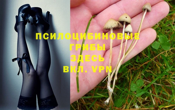 мдпв Богданович