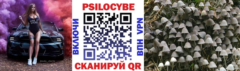 Псилоцибиновые грибы мухоморы  Купить где  Пионерский 